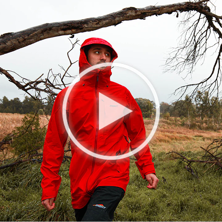 Thumbnail 13